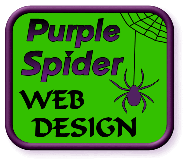 Purple Spider Web Design